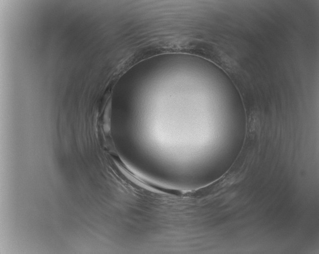 X0000054431202200508192114