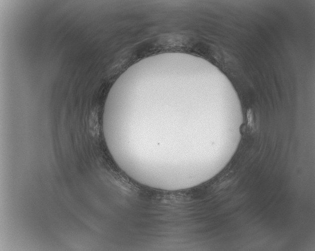 X0000054431203200508192114