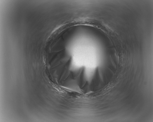 X0000054431206200508192115