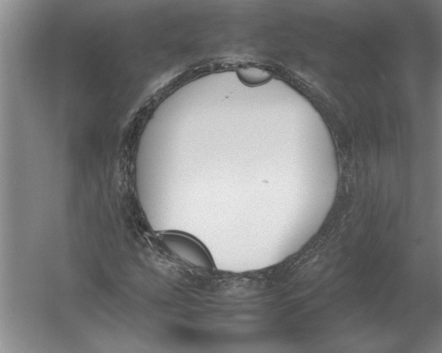 X0000054431207200508192115