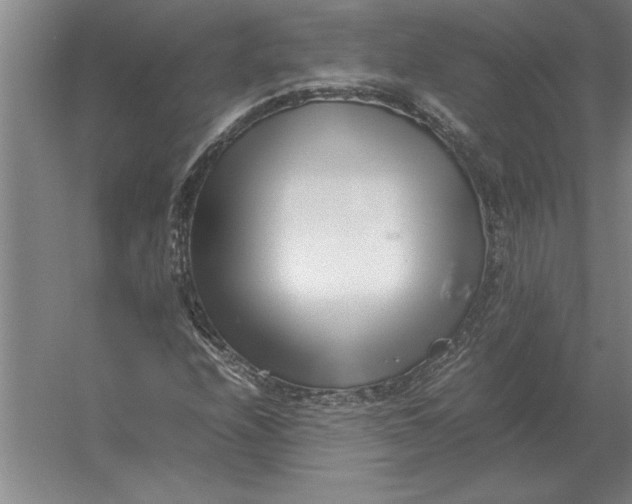 X0000054431208200508192115