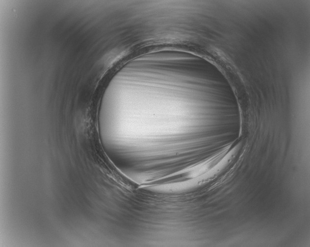 X0000054431210200508192115