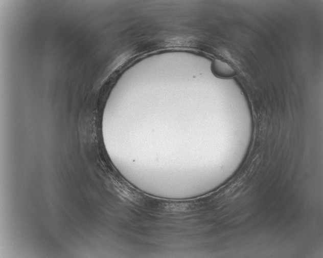 X0000054431211200508192115