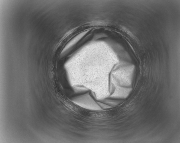 X0000054431213200508192115