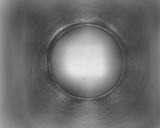 X0000054431214200508192115