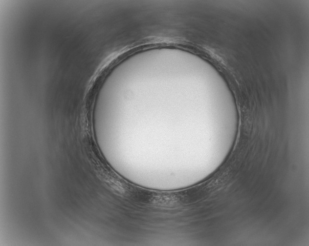 X0000054431215200508192115