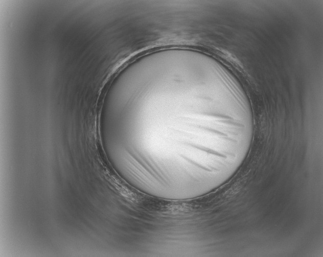 X0000054431220200508192115