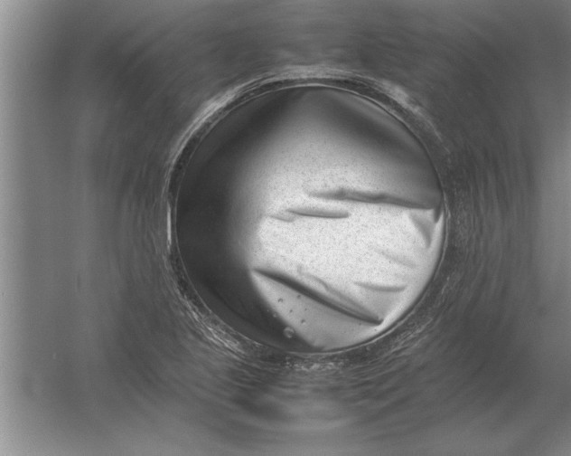 X0000054431221200508192115