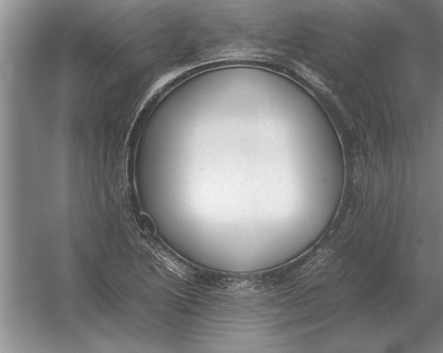 X0000054431222200508192115