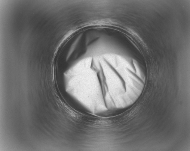 X0000054431224200508192115