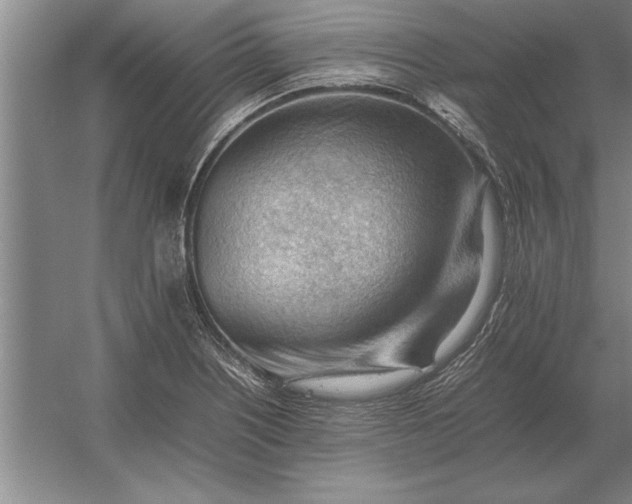 X0000054431226200508192115