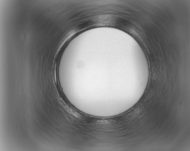 X0000054431227200508192115