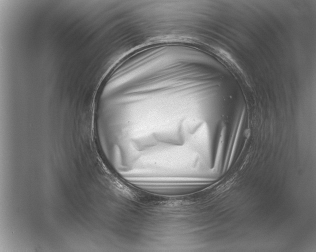 X0000054431228200508192115