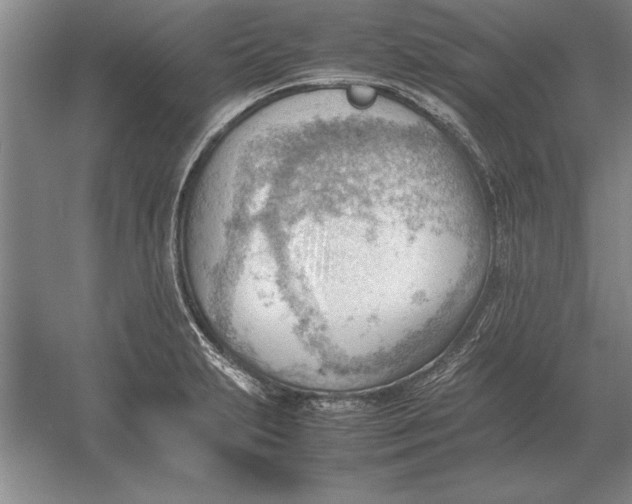 X0000054431231200508192115