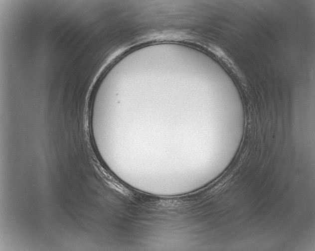 X0000054431232200508192115