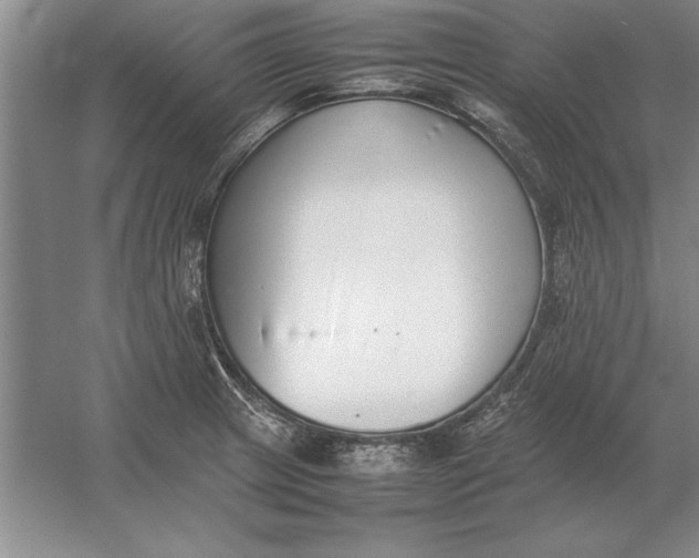 X0000054431233200508192115