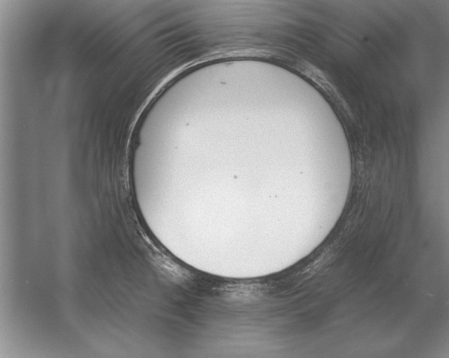 X0000054431236200508192115