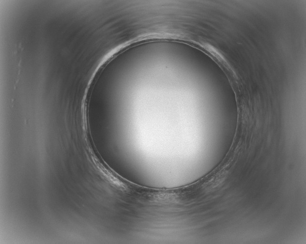 X0000054431238200508192115