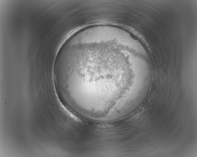 X0000054431239200508192115