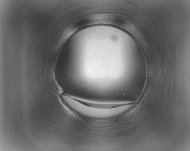 X0000054431241200508192115