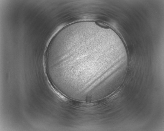 X0000054431243200508192115