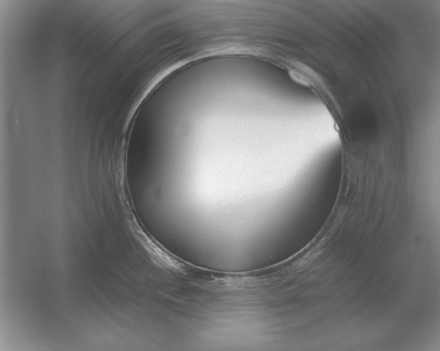 X0000054431244200508192115