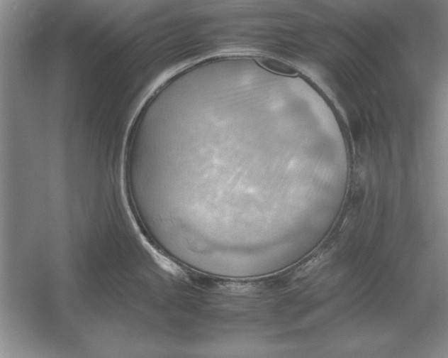 X0000054431245200508192115