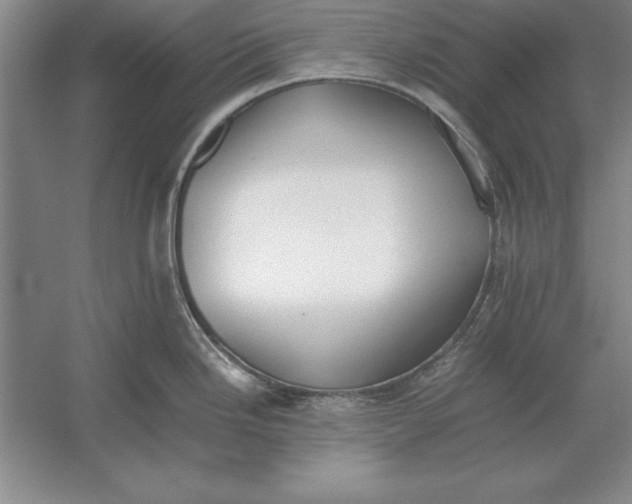 X0000054431246200508192115