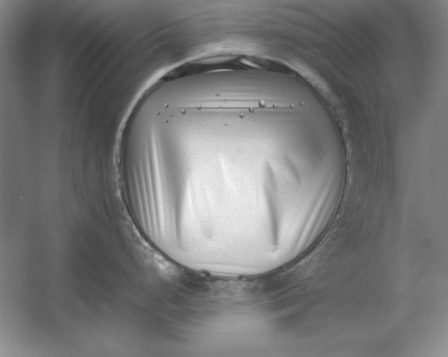 X0000054431248200508192115