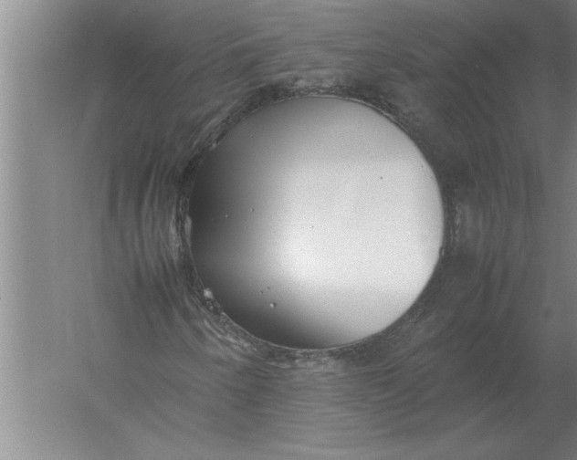 X0000054431250200508192114