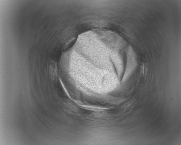 X0000054431251200508192114