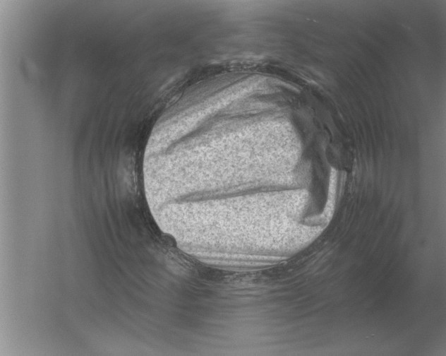 X0000054431252200508192114