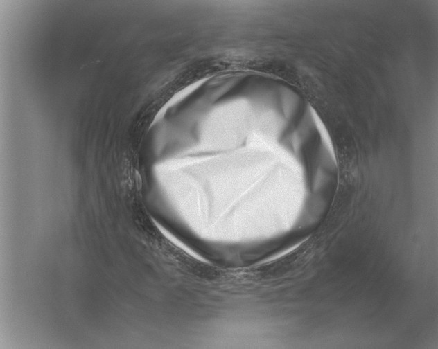 X0000054431253200508192114