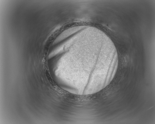 X0000054431254200508192114