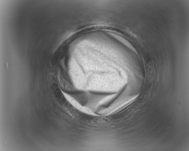 X0000054431255200508192114