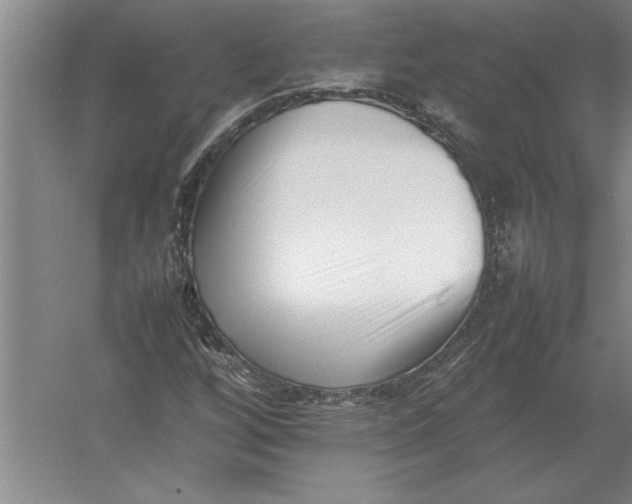 X0000054431256200508192114