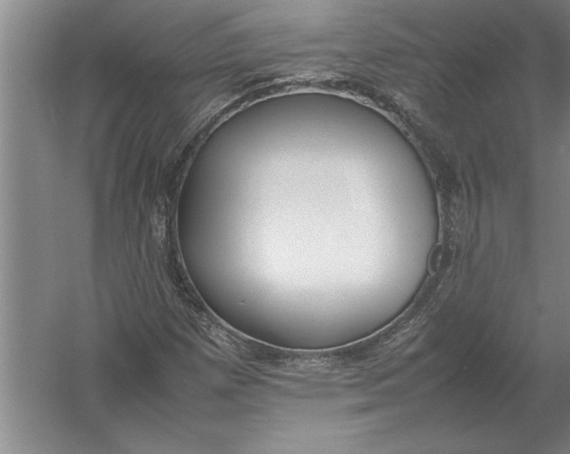 X0000054431257200508192114