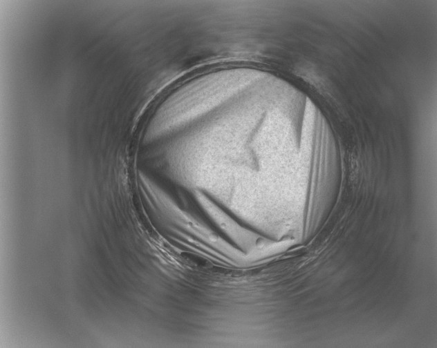 X0000054431260200508192114