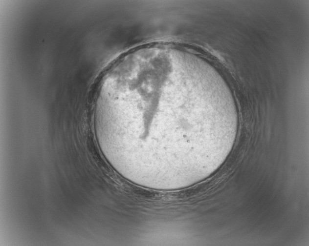 X0000054431263200508192114