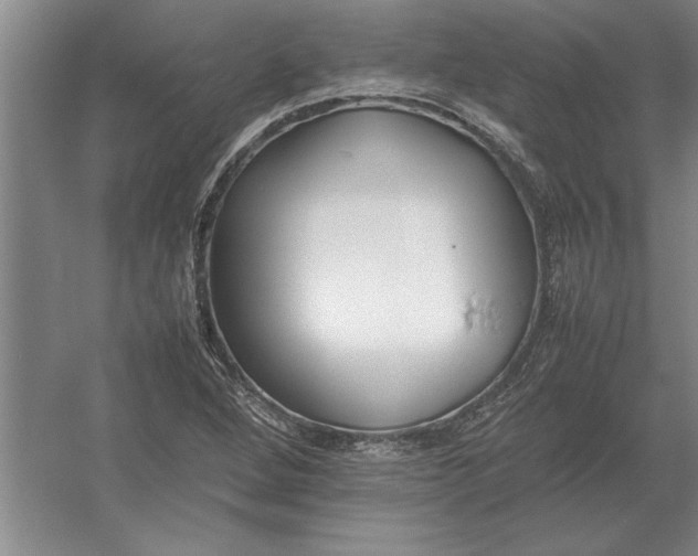 X0000054431264200508192114