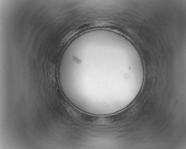 X0000054431265200508192114