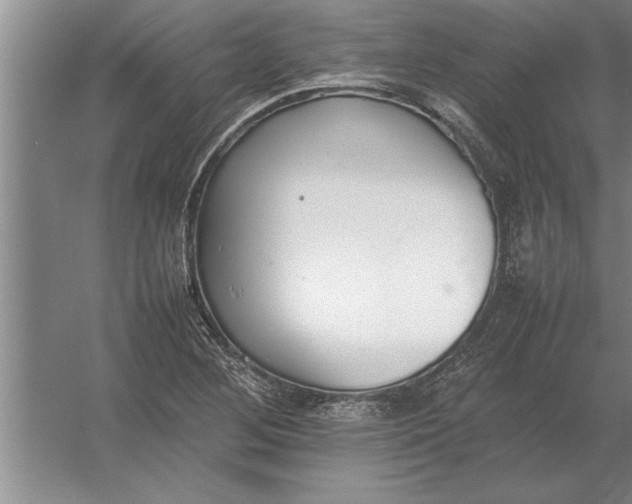 X0000054431268200508192114