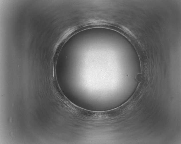 X0000054431269200508192114