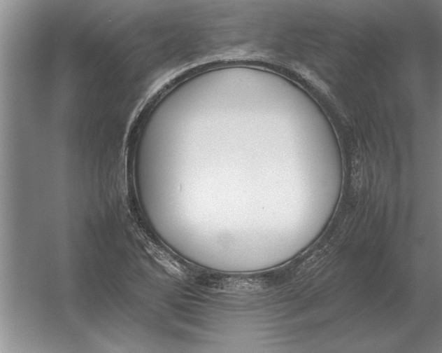 X0000054431270200508192114