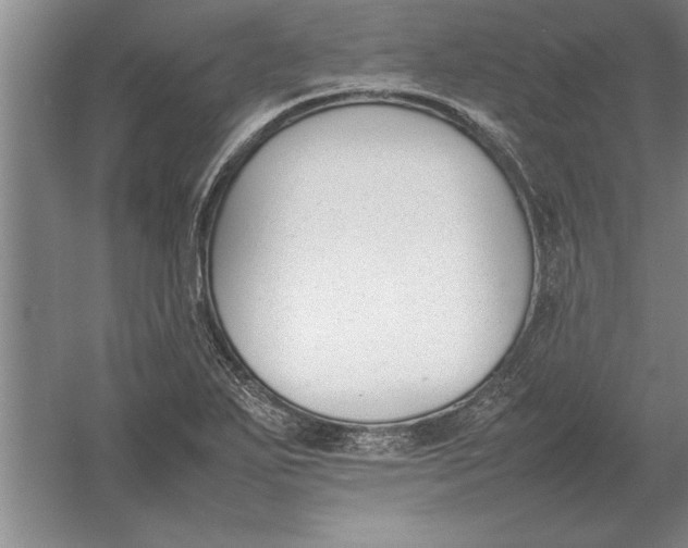 X0000054431271200508192114