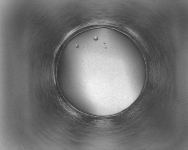 X0000054431272200508192114