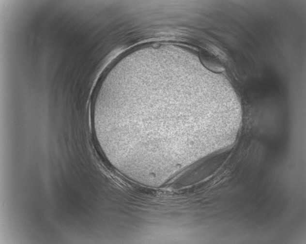 X0000054431275200508192114