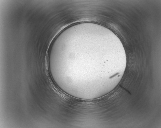 X0000054431276200508192114