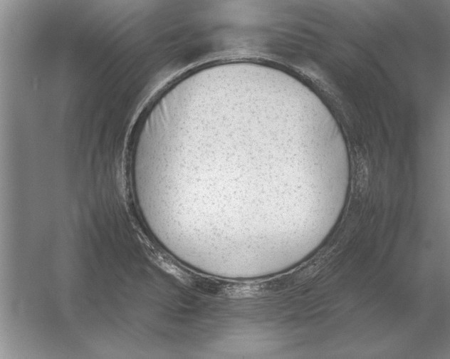 X0000054431278200508192114