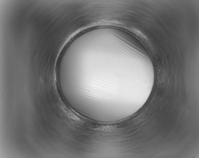 X0000054431280200508192114